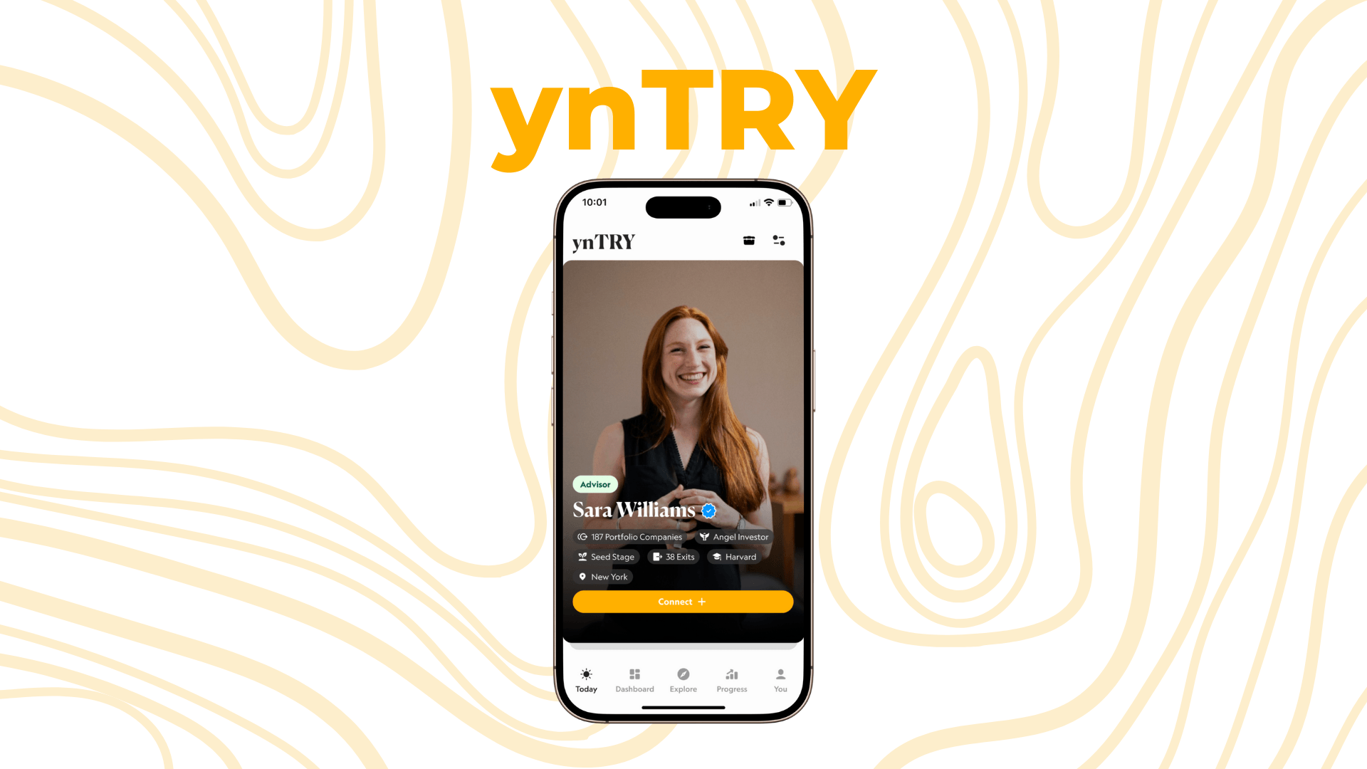 Main visual highlight