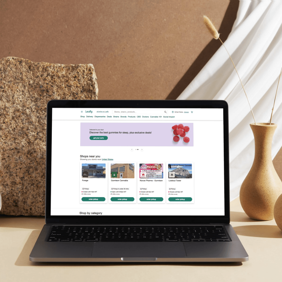 Main visual highlight